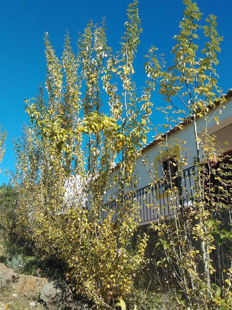 Casas Do Palheiro Velho Pensionat Castro Marim Exteriör bild